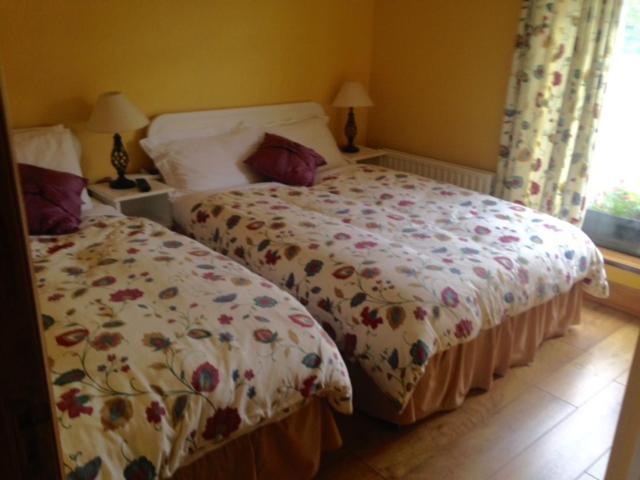 River Edge B&B Jamestown Екстер'єр фото